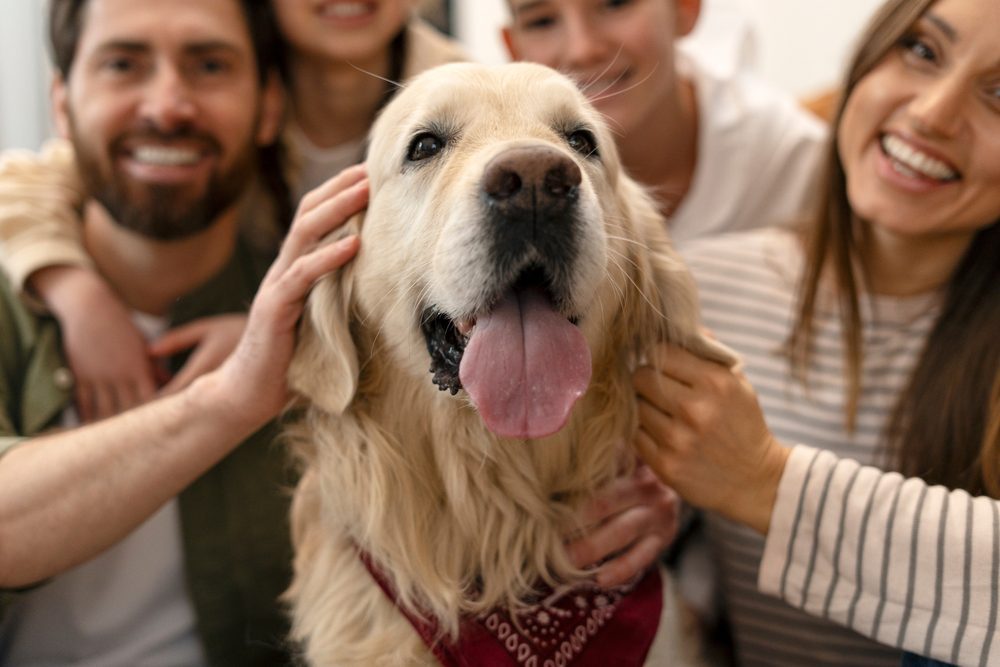 protecting your home also means considering the pets who live there.