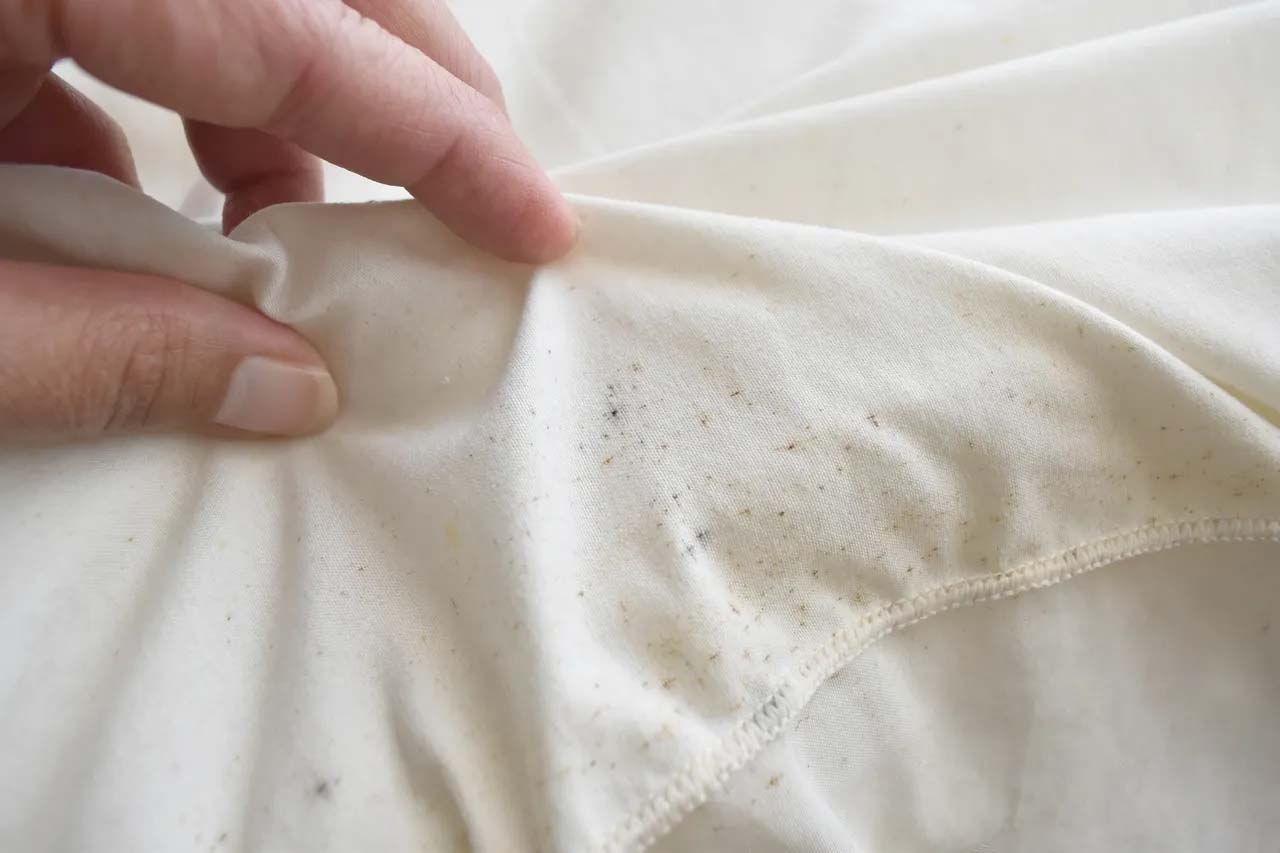 Hand pulling back a white sheet to reveal dark bed bug spotting